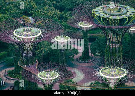 Singapore, 10 settembre 2025, il Supertree Grove all'interno dei Giardini della Baia - visto dal tetto del resort Marina Bay Sands Foto Stock