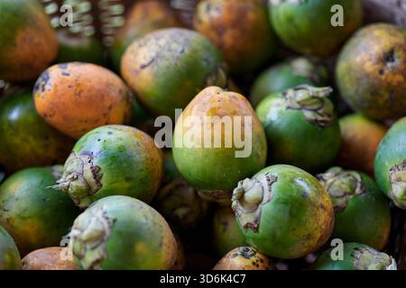 Noce di betel maturo nel cesto di bambù intrecciato Foto Stock