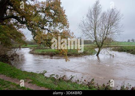 Un fiume inondato Freccia che attraversa terreni agricoli nel Warwickshire dopo giorni di piogge torrenziali innalza il livello del normale piccolo fiume di diversi metri. Foto Stock
