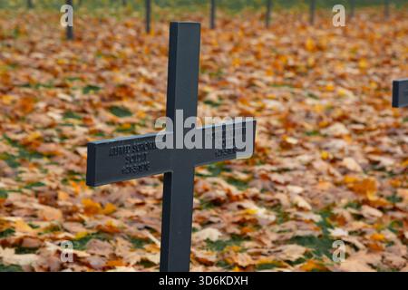 Croci tombe con i nomi dei soldati tedeschi caduti si trovano nel cimitero di guerra tedesco di Neuville-St Vaast, che è stata un'erita mondiale dell'UNESCO Foto Stock