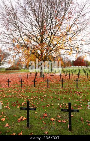 Croci tombe con i nomi dei soldati tedeschi caduti si trovano nel cimitero di guerra tedesco di Neuville-St Vaast, che è stata un'erita mondiale dell'UNESCO Foto Stock