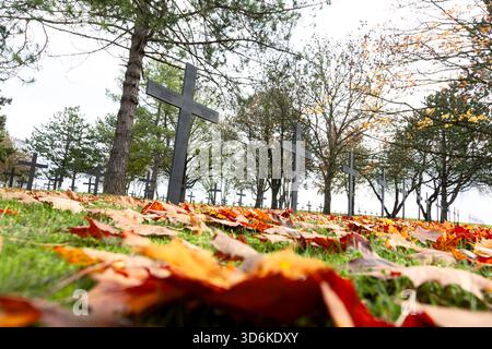 Croci tombe con i nomi dei soldati tedeschi caduti si trovano nel cimitero di guerra tedesco di Neuville-St Vaast, che è stata un'erita mondiale dell'UNESCO Foto Stock
