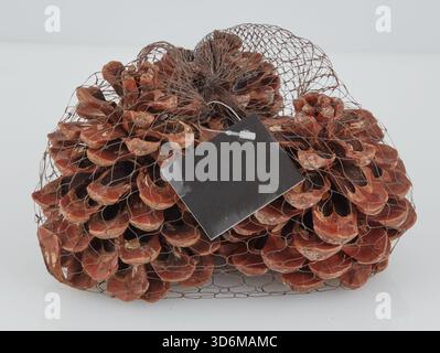 Fiori di pino essiccati in sacchetti di rete colorati sfondo naturale isolato con percorso di ritaglio Foto Stock