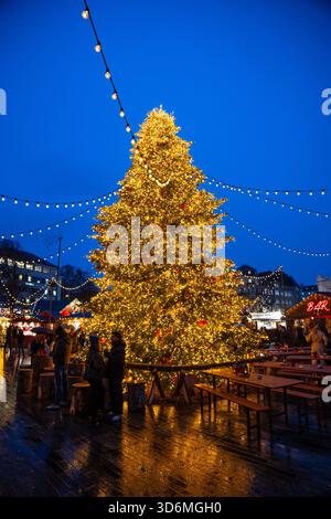 Zurigo, Svizzera, 20 novembre 2025. Albero di Natale alto e decorato e persone che visitano il mercato di Natale di Sechselautenplatz. Ora blu nuvolosa, ma Foto Stock