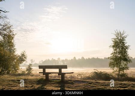 Una tranquilla alba al mattino presto con una panchina di legno come soggetto della foto. In primavera, Dwingelderveld, nei Paesi Bassi. Foto Stock
