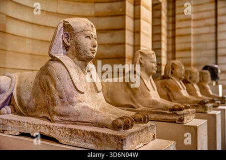 Fila di statue dell'antica sfinge egizia esposte all'interno del Museo del Louvre di Parigi, mostrate in luce calda lungo la galleria rivestita in pietra. Foto Stock