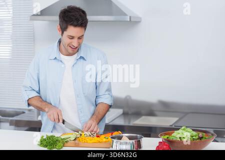 Uomo che trita verdure sul tagliere in cucina, indossa una camicia azzurra, usando il coltello dello chef. Produrre, preparare, cucinare, casalingo, moderno, acciaio inox, br Foto Stock