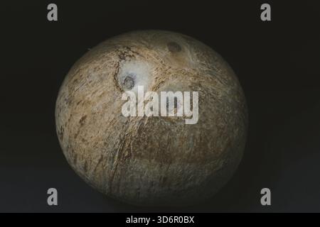 Cocco fresco intero isolato su sfondo nero Foto Stock