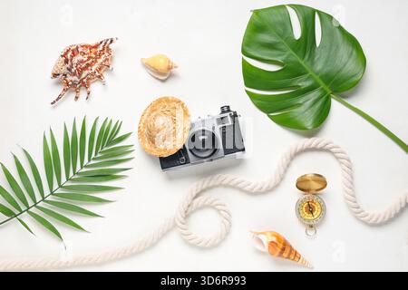 Composizione con fotocamera d'epoca, bussola, conchiglie e foglie di palma su sfondo chiaro Foto Stock
