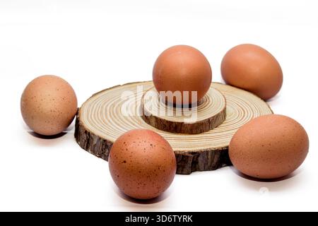 Uova di pollo marroni disposte intorno a fette di legno rustiche su uno sfondo bianco pulito, simboleggiano cibo naturale, freschezza e ingredienti agricoli. Foto Stock