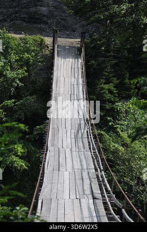 Un robusto ponte sospeso in legno si estende su un piccolo burrone, circondato da alberi vibranti e fogliame, creando un ambiente tranquillo e naturale. Foto Stock