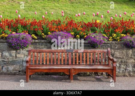 Panca in legno e fiori fioriti in primavera nei Princes Street Gardens, parco nel centro di Edimburgo, Scozia, Regno Unito. Foto Stock