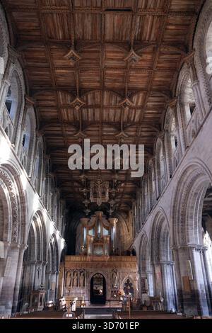 La navata della cattedrale di St Davids - Eglwys Gadeiriol Tyddewi - a St Davids, la città più piccola della Gran Bretagna, Pembrokeshire, Galles occidentale Regno Unito Foto Stock