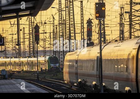 Stazione centrale di Dortmund, treno ICE sul binario, Renania settentrionale-Vestfalia, Germania Foto Stock