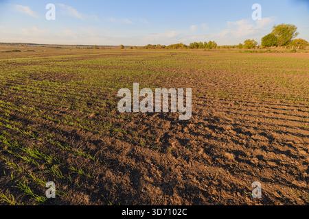 Un pittoresco paesaggio agricolo dai toni terrosi e vegetazione lussureggiante, che mostra vasti e fiorenti terreni agricoli Foto Stock