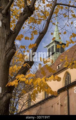 Chiesa di San Martino, Colmar, Haut-Rhin, Grand Est, Francia Foto Stock