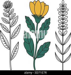 Set illustrativo botanico con tre piante in fiore stilizzate con varie forme di foglie e composizioni di petali Illustrazione Vettoriale