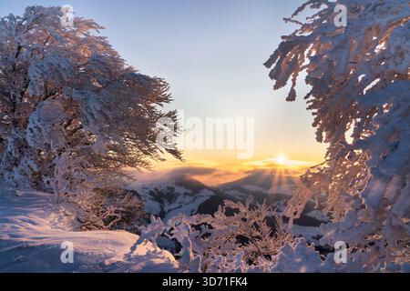 Svizzera, Passwang, Passwang se, se, Soletta, Mümliswil-Ramiswil, Schwarzbubenland, alba, Vogelberg, novembre Foto Stock