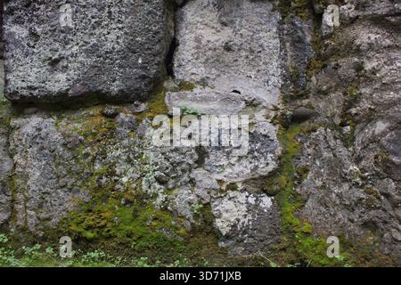 Superficie in pietra intemprata coperta di muschio verde e lichene in luce naturale Foto Stock