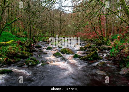 Scene autunnali a Hebden Bridge, West Yorkshire, con fogliame colorato, un vecchio mulino che si riflette nell'acqua del canale e una piccola cascata. Foto Stock