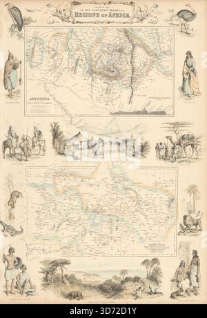 Regioni tropicali settentrionali in Africa. Abissinia. Lago Chad. Nigeria c1863 mappa Foto Stock