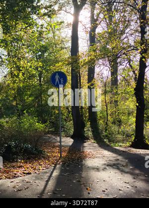 Tranquillo parco con percorso lastricato attraverso luminosi boschi autunnali, un cartello pedonale blu e la luce del sole attenuata in un parco cittadino dell'Aia, nei Paesi Bassi Foto Stock