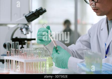 Giovane adulto che indossa guanti per maneggiare provette per test in laboratori scientifici Foto Stock