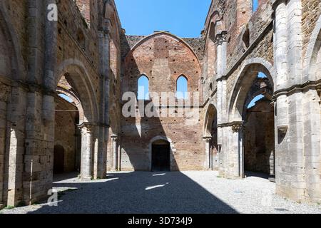 Interno dell'abbazia cistercense senza tetto del XIII secolo di San Galgano nei pressi di Chiusdino, con archi gotici, pilastri in pietra e pareti a navata. Foto Stock