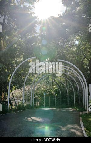 Un tunnel di metallo bianco si trova in un lussureggiante giardino con alberi su entrambi i lati e la luce soffusa filtra attraverso la cornice curva e le luci sospese. Foto Stock
