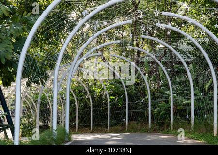 Un tunnel di metallo bianco si trova in un lussureggiante giardino con alberi su entrambi i lati e la luce soffusa filtra attraverso la cornice curva e le luci sospese. Foto Stock