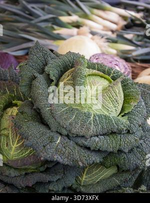Cavolo verde. Cavoli viola e bianchi e cipolle verdi sullo sfondo. Foto Stock