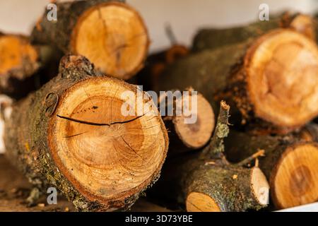 Una collezione di tronchi di legna da ardere appena tagliati è ordinatamente impilata, mostrando i loro colori caldi e naturali. Ideale per riscaldare e creare un'atmosfera accogliente Foto Stock