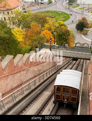 Una parte del castello reale di Buda in Autunm. Splendidi alberi colorati che circondano gli edifici storici. Foto Stock