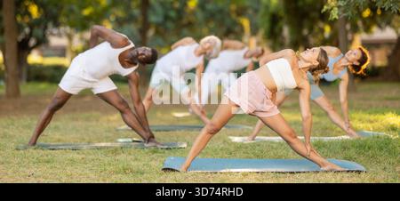 Persone di età e nazionalità diverse praticano varie pose yoga nel giardino estivo Foto Stock