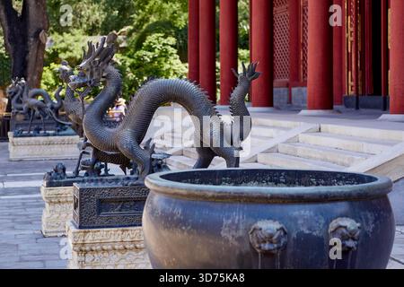 Guardiano del drago di bronzo nel Palazzo d'Estate di Pechino, Cina Foto Stock