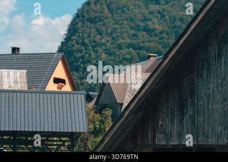Rustiche case alpine con tetti inclinati si stagliano armoniosamente in un villaggio sloveno, mescolando tradizione con il paesaggio montano circostante. Selectiv Foto Stock