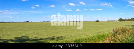 Ampio panorama della campagna olandese con erba verde brillante, orizzonti aperti e morbide nuvole soffici che attraversano il cielo. Foto Stock
