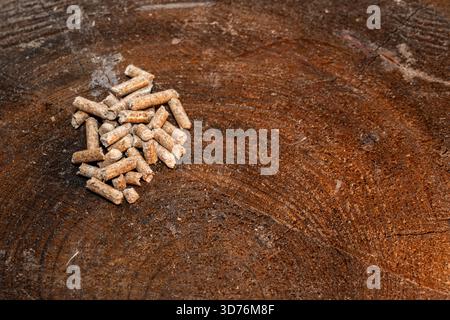 Primo piano di un piccolo e mirato mucchio di pellet cilindriche di legno appoggiate sulla superficie scura e ruvida di un ceppo d'albero, con ampio spazio di copia Foto Stock