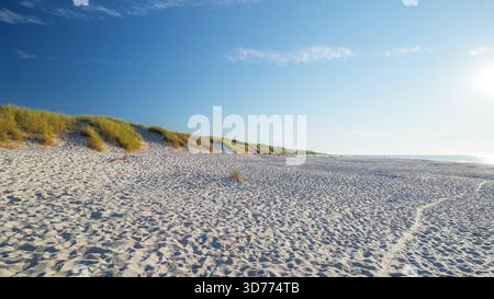 Una bella e ampia spiaggia sul Mar Baltico polacco nel pomeriggio in una giornata di sole. Le dune di sabbia coprono Slajszewo, Polonia. Foto Stock