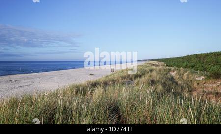 Una meravigliosa spiaggia sul Mar Baltico a Slajszewo. Una vista meravigliosa sull'ampia spiaggia, sulle dune erbose e sulla pineta. Polonia Foto Stock