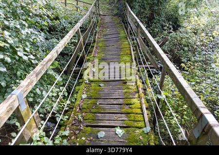 Vecchio ponte sospeso in legno ricoperto di muschio in una lussureggiante foresta verde Foto Stock