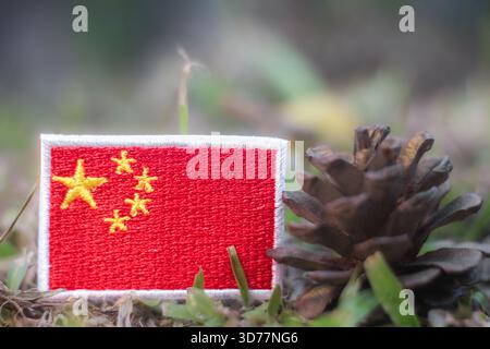 Toppa con bandiera ricamata in Cina accanto a un cono di pino sul terreno verde della foresta, simboleggiando gli sforzi nazionali di riforestazione, azione per il clima e sostenibilità. Foto Stock