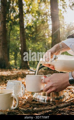 Una persona sta versando del latte in una tazza di caffè. La scena è ambientata in una foresta, con una persona che versa il latte in una tazza di caffè Foto Stock