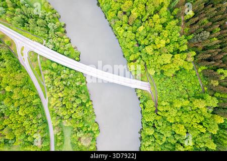 Veduta aerea di un ponte che attraversa un fiume circondato da lussureggianti alberi verdi, una sinfonia di natura e infrastrutture, Mannheim, Baden-Wurttemberg, Foto Stock