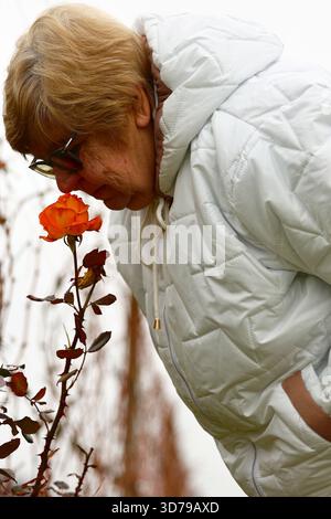 Donna anziana che si gode il profumo di una rosa Foto Stock