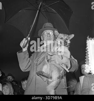 Amsterdam, 1952 – fotografia in bianco e nero che mostra un uomo che tiene il suo piccolo cane sotto un ombrello durante la competizione “il cane più bello di Amsterdam”. Il cappotto bagnato dall'acqua, gli occhiali rotondi e l'espressione determinata contrastano con la posa calma del cane. Bambini e spettatori si riuniscono intorno a loro, catturando l'atmosfera vivace e divertente di questa esposizione canina di Amsterdam del dopoguerra. Foto Stock