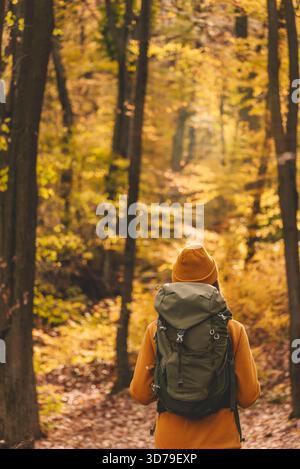 Escursionista solitaria nella foresta autunnale Foto Stock