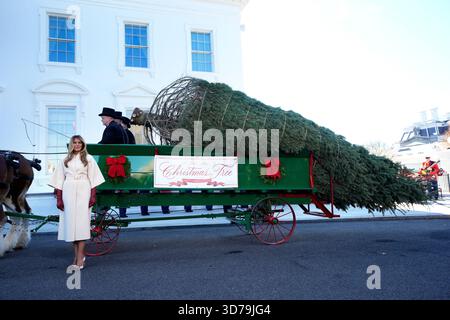 Washington, Stati Uniti. 24 novembre 2025. La first lady STATUNITENSE Melania Trump dà il benvenuto all'albero di Natale ufficiale alla Casa Bianca di Washington il 24 novembre 2025. Foto di Yuri Gripas/ABACAPRESS.COM credito: Abaca Press/Alamy Live News Foto Stock