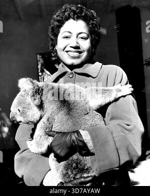 Mattiwilda Dobbs famoso Soprano americano, con George, uno dei koala al Taronga Park. La signorina Dobbs, che è in Australia per l'ABC, inizia la sua stagione di recital al Sydney Town Hall stasera. 21 luglio 1955. Foto Stock