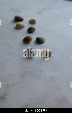 Quattro piccole conchiglie marine bianche disposte diagonalmente su uno sfondo blu testurizzato e turchese simile all'acqua Foto Stock